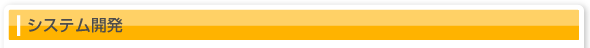 システム開発